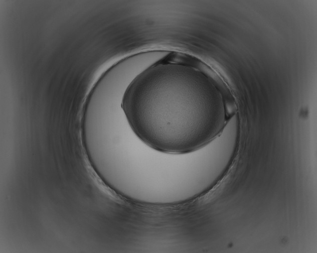 X0000093260854200710171447