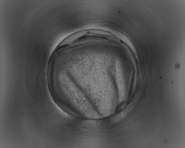 X0000093260855200710171447