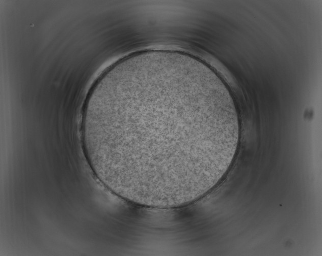 X0000093260856200710171447