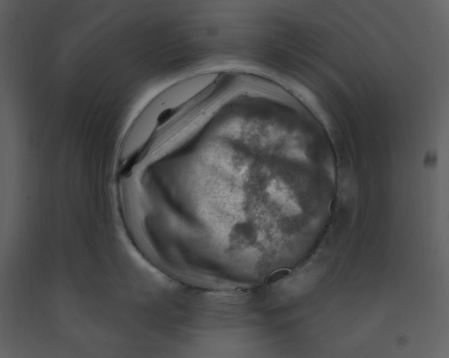 X0000093260863200710171447