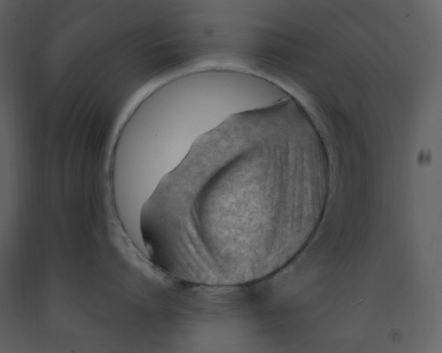 X0000093260864200710171447