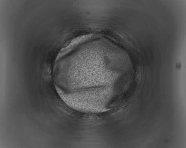 X0000093260866200710171447