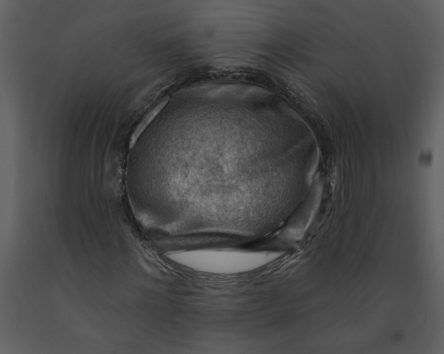 X0000093260868200710171447