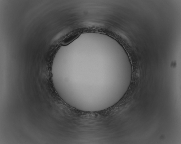 X0000093260869200710171446