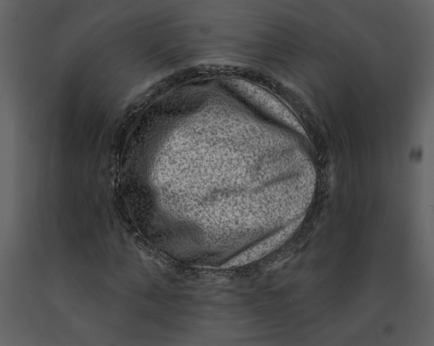 X0000093260870200710171446