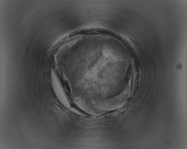 X0000093260872200710171446