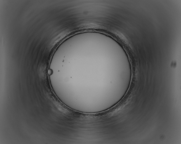 X0000093260873200710171446