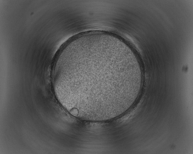 X0000093260875200710171446