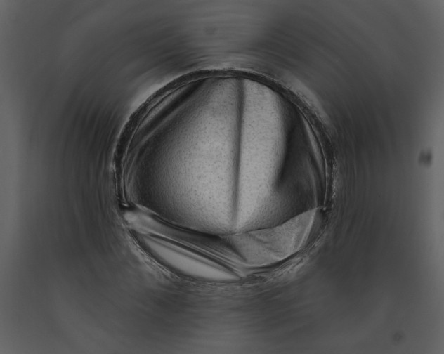 X0000093260876200710171446