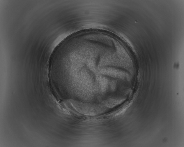 X0000093260877200710171446