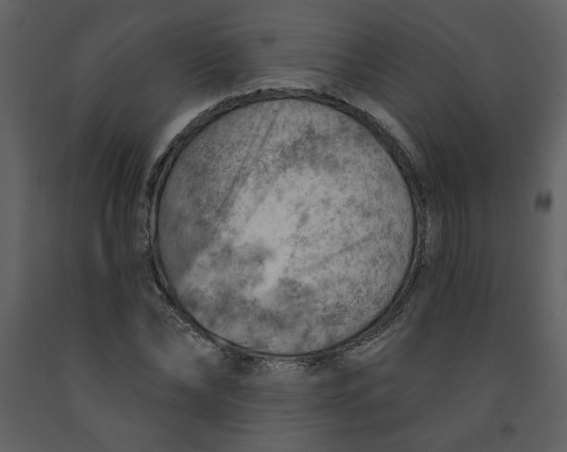 X0000093260878200710171446