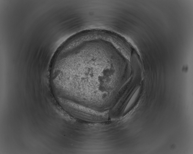 X0000093260879200710171446