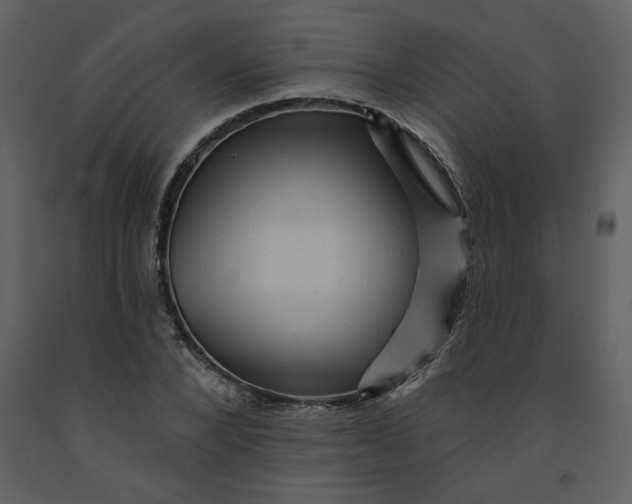 X0000093260880200710171446