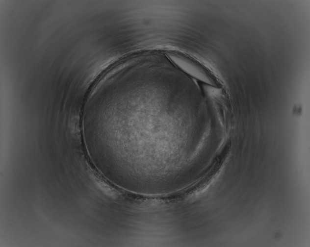 X0000093260881200710171446