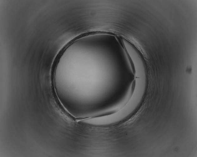 X0000093260884200710171446