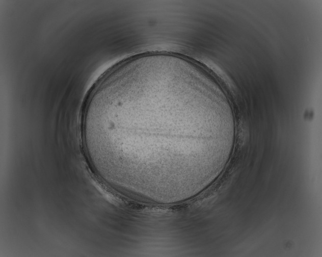 X0000093260886200710171446