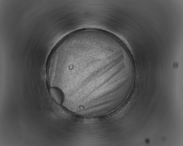 X0000093260887200710171446