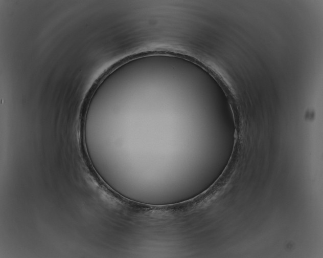 X0000093260888200710171446