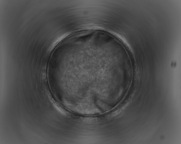 X0000093260889200710171446