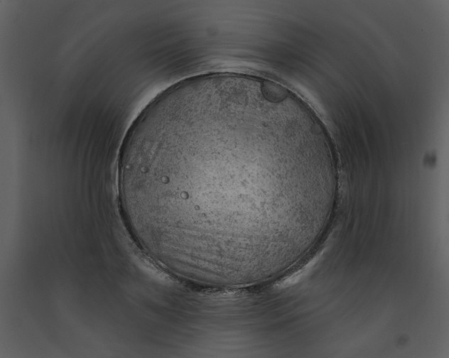 X0000093260891200710171446