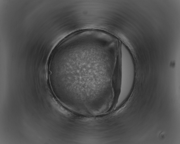 X0000093260892200710171446