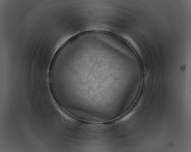 X0000093260893200710171446