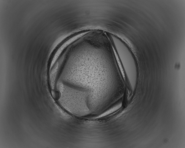 X0000093260894200710171446