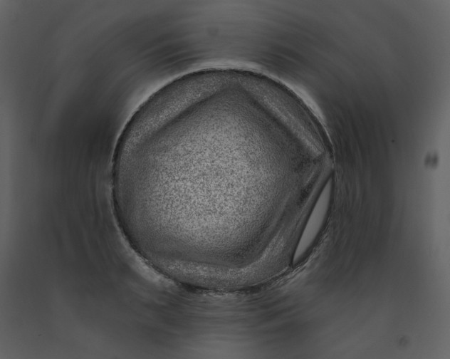 X0000093260895200710171446