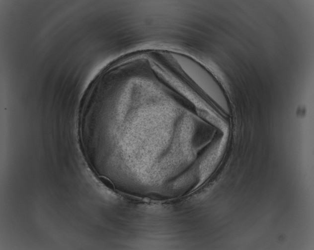 X0000093260896200710171446