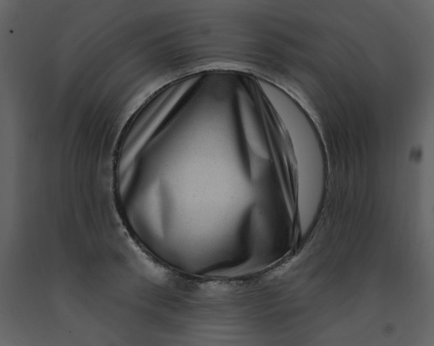 X0000093260898200710171446