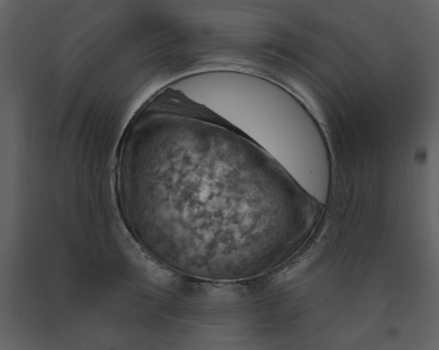 X0000093260899200710171446