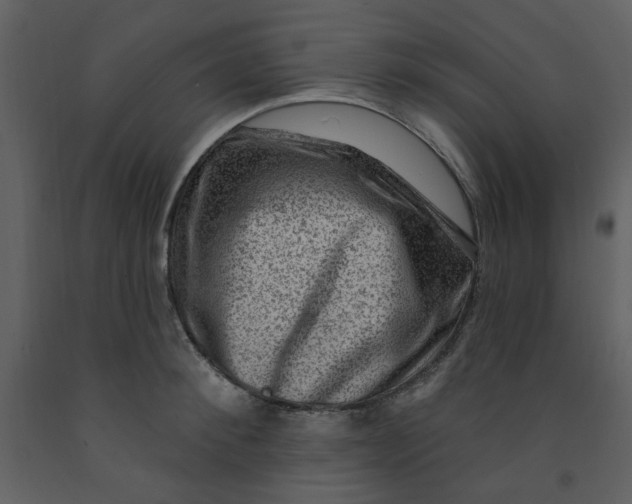 X0000093260900200710171446