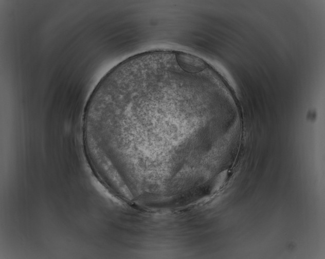 X0000093260903200710171446