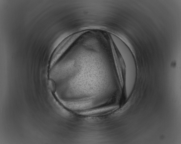 X0000093260906200710171446