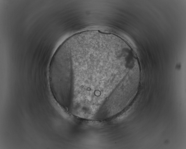 X0000093260907200710171446