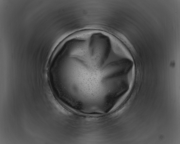 X0000093260908200710171446