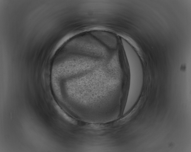 X0000093260910200710171446