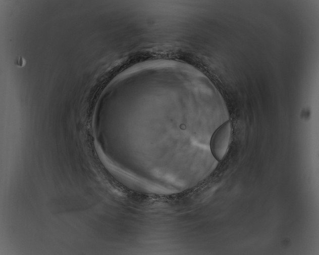 X0000093260913200710171445