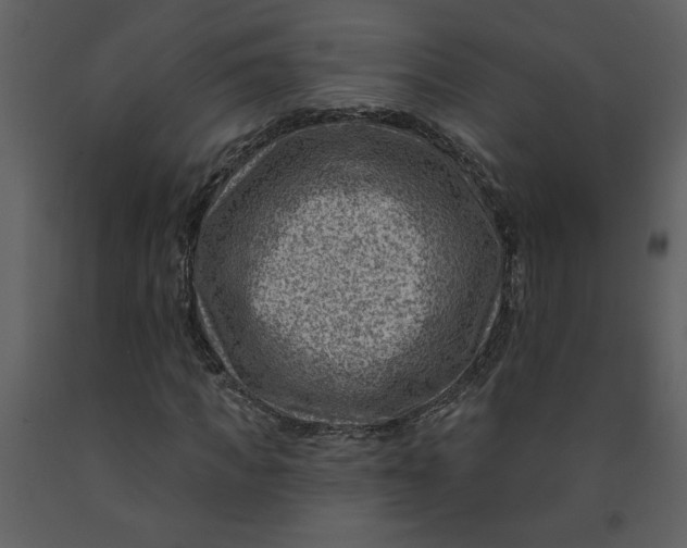 X0000093260917200710171445