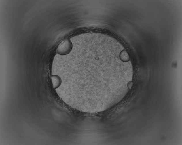 X0000093260918200710171445