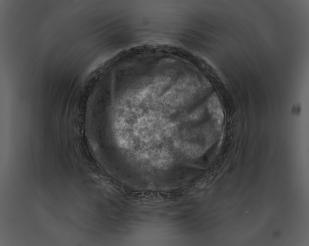 X0000093260919200710171445