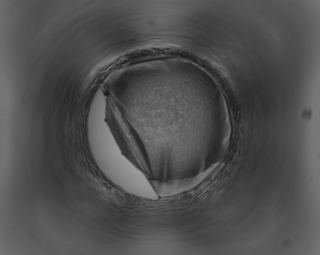 X0000093260920200710171445