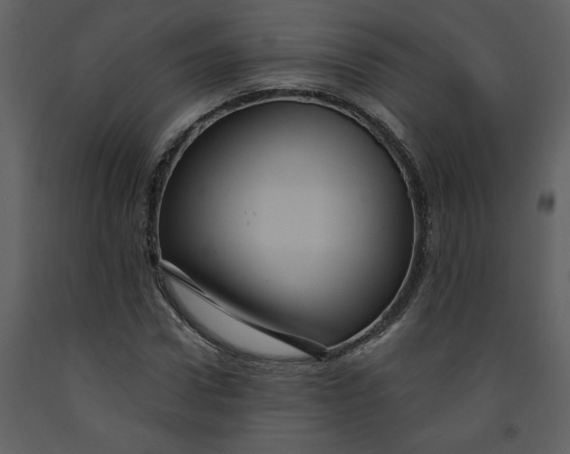 X0000093260922200710171445