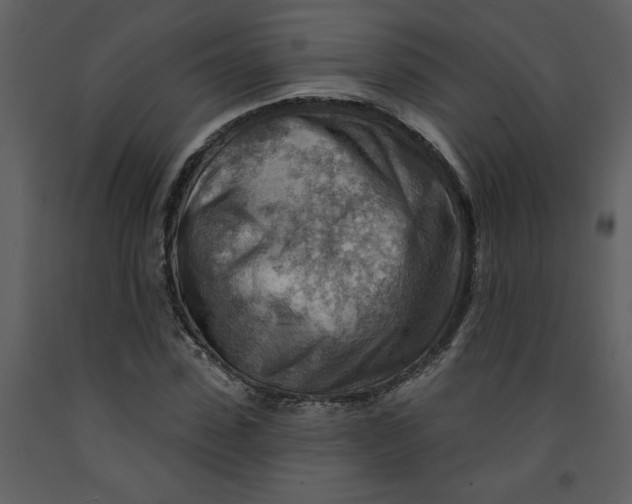 X0000093260923200710171445