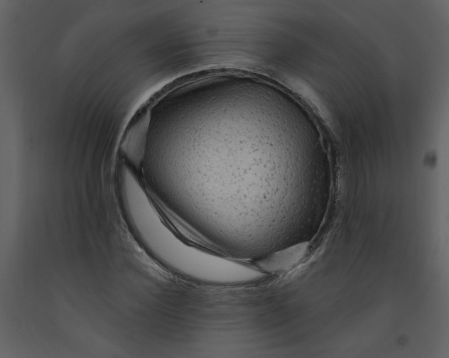 X0000093260924200710171445