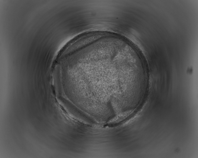 X0000093260925200710171445