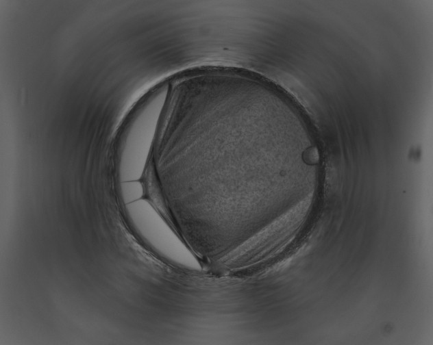 X0000093260926200710171445