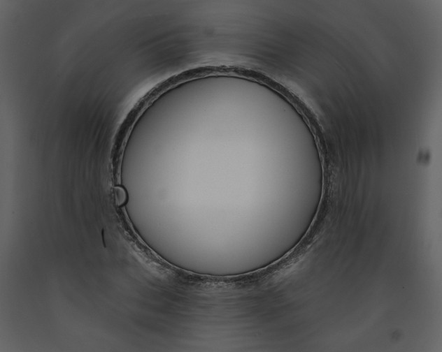 X0000093260927200710171445