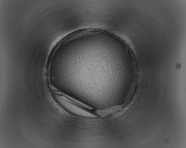 X0000093260928200710171445