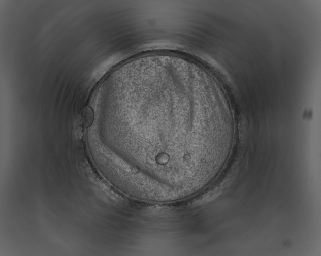 X0000093260929200710171445